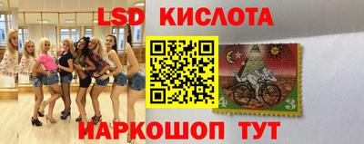 spice Рыбинск